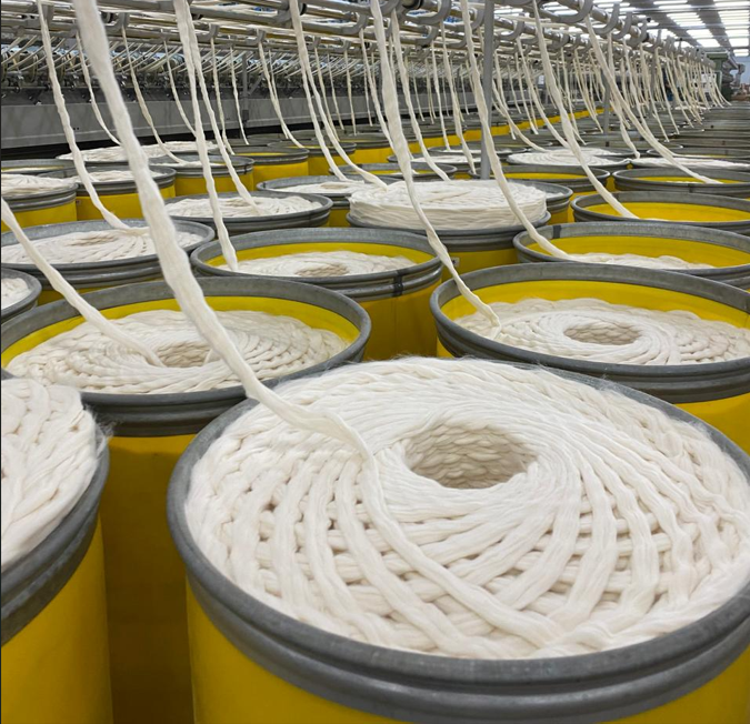 A Importância da Inclusão dos Canais Digitais B2C e B2B na Estratégia de Negócio para um Crescimento Sustentável